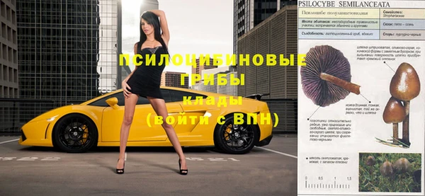 PSILOCYBIN Армянск