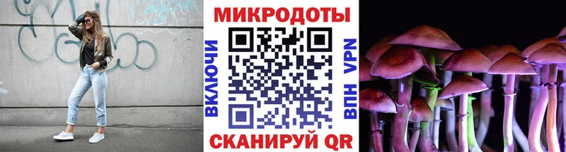 Галлюциногенные грибы мухоморы  Лахденпохья 